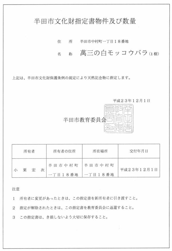 半田市指定天然記念物「萬三の白モッコウバラ」