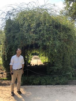 ③スペイン最大級のモッコウバラ(マドリード王立植物園)