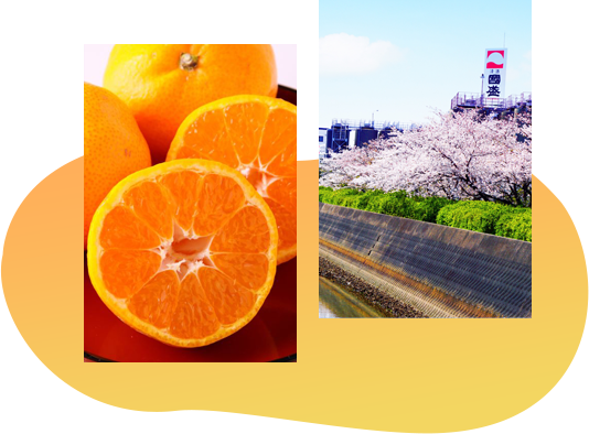 製造へのこだわり