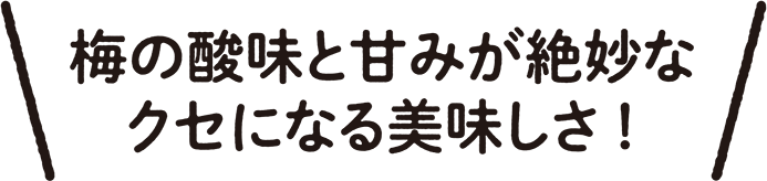 梅の酸味と甘みが絶妙なクセになる美味しさ