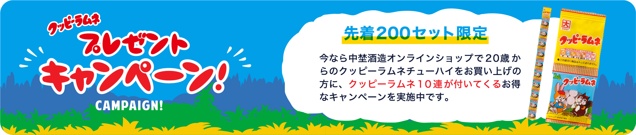 プレゼントキャンペーン