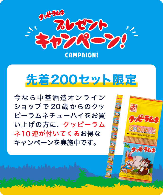 プレゼントキャンペーン