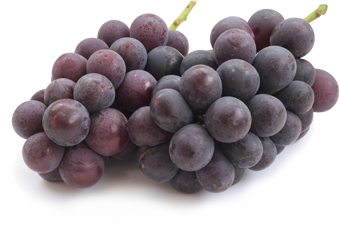 フルリア ぶどうのお酒