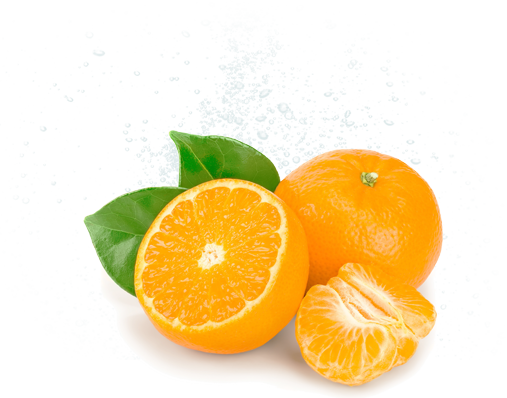 フルリア みかんのお酒 〈微炭酸〉