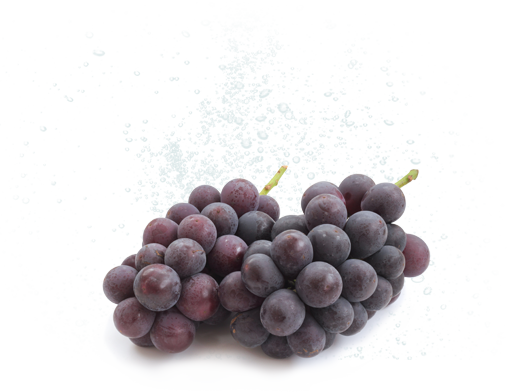 フルリア ぶどうのお酒 〈微炭酸〉