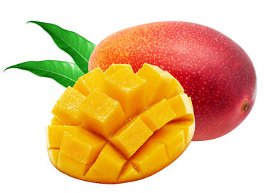 フルリア マンゴーのお酒