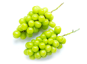 フルリア マスカットのお酒