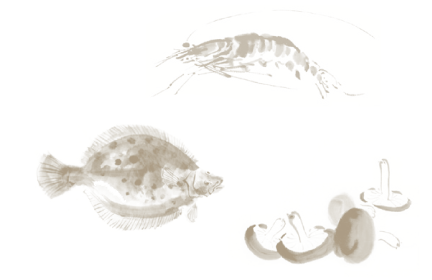 旬を肴に、旬を酌む